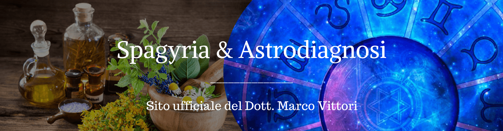 Filosofia della Spagyria: Saturno vegetale – Prunella